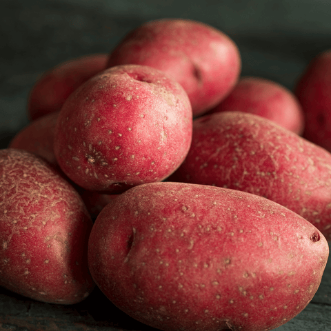 Potatoes, Red