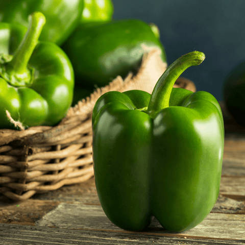 Pepper, Green Bell