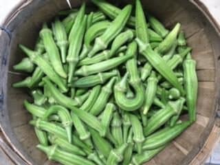 Okra