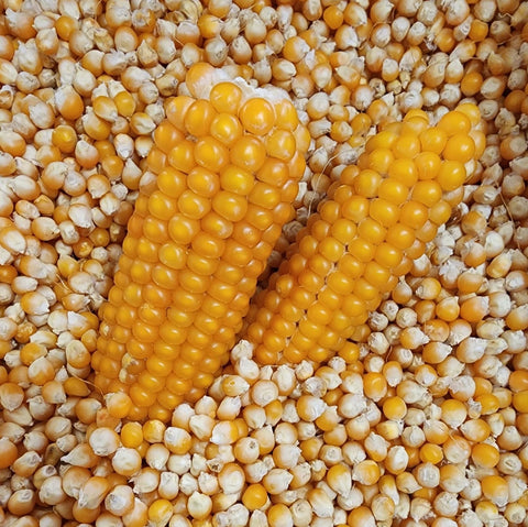Popcorn