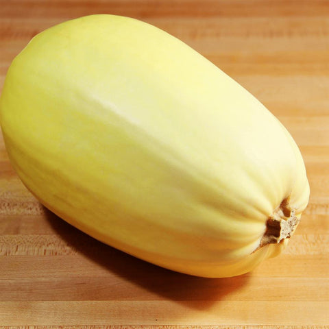 Squash, Spaghetti