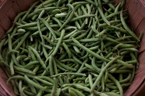 Beans, Stringless
