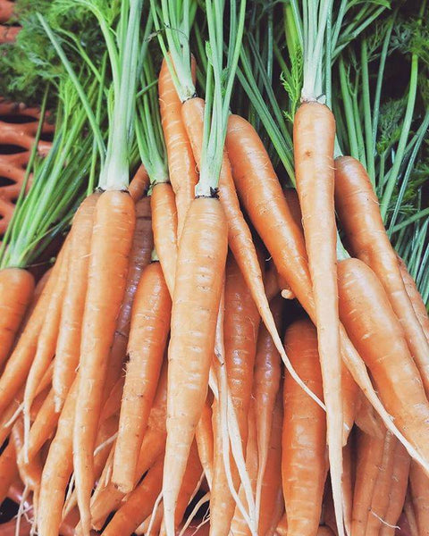 Carrots