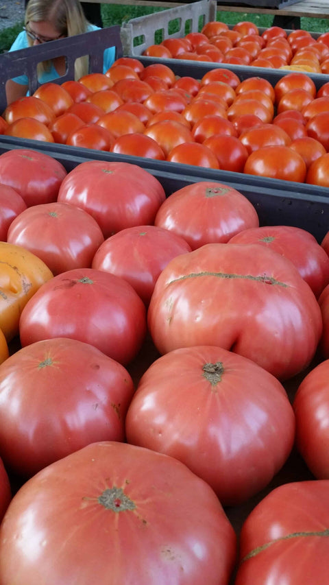 Tomatoes, Heirloom 2.5-3 lb