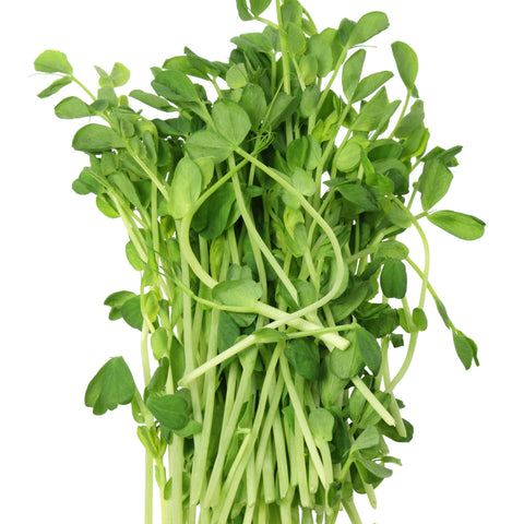 Pea Shoots