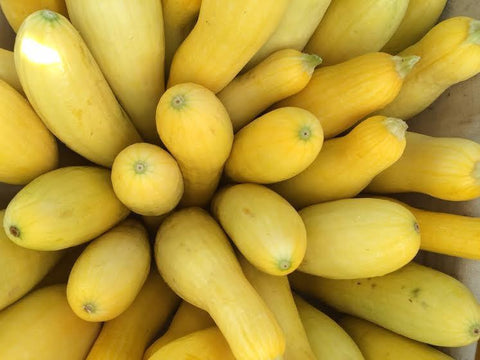 Squash, Yellow Squash