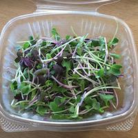 Microgreens, Spicy