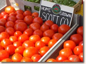 Tomatoes, Red